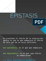 Epistasis