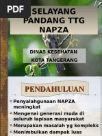 Download Bahan Penyuluhan Napza Di Smp by ifa SN304750863 doc pdf