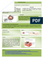 Ficha-2