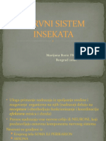 Nervni Sistem Insekata