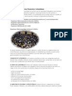UNIDAD 1 Estructura Del Sistema Financiero Colombiano