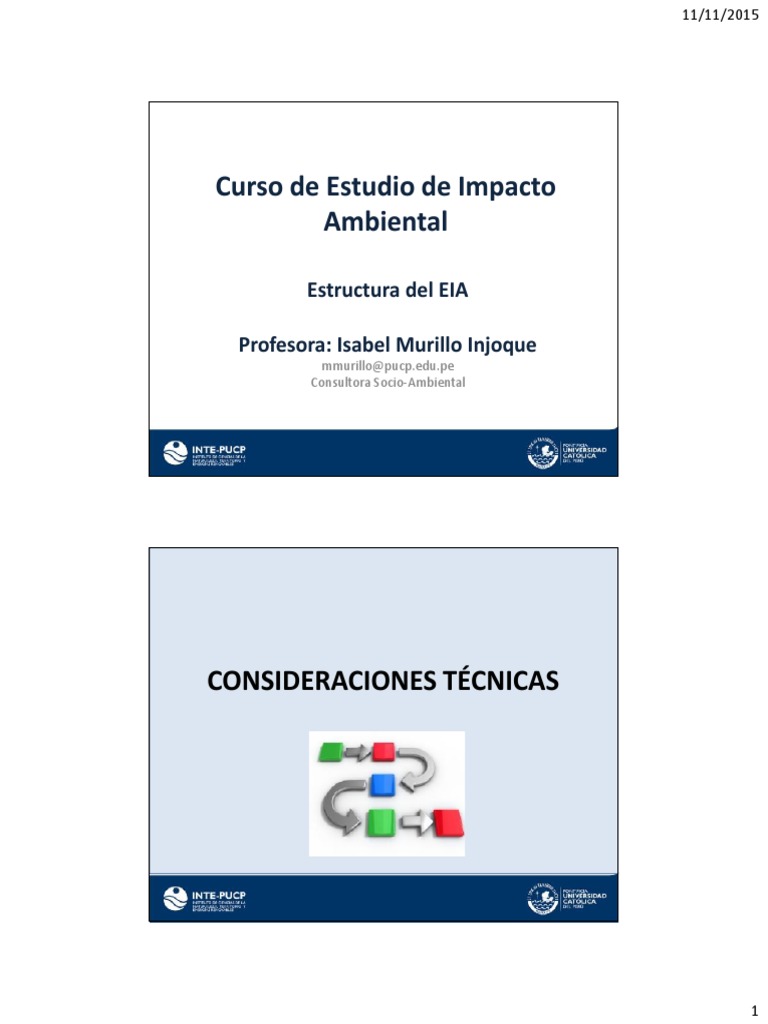 Estructura y Proceso del EIA | PDF | Evaluación de impacto ambiental ...