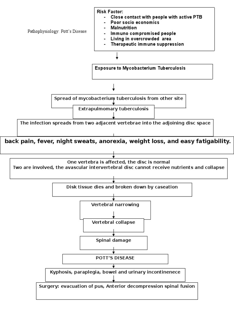 Pathophysiology Pott's Disease Back Pain, Fever, Night Sweats