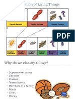 Classification Powerpoint