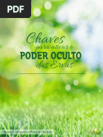 ativação de fitoenergético