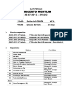 Concerto Montijo - Organização