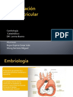 Comunicación Interventricular