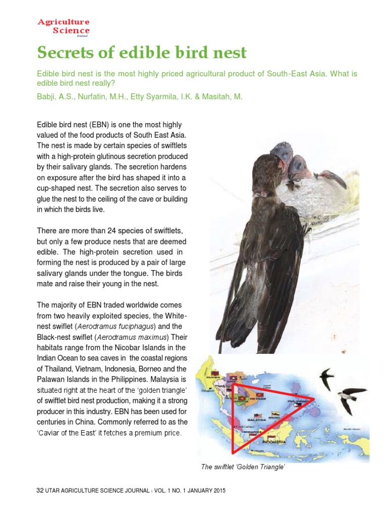 UASJ 2015 Vol 1 (1), 7 Secrets of Edible Bird Nest PDF