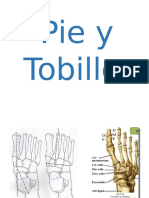 Tecnicas-Evaluativas - Tobillo y Pie - Sistema Esqueletico