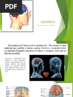 Cerebro
