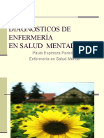 Diagnosticos de Enfermeria