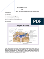 Anatomi Kepala Dan Medulla Oblongata