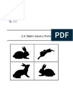 Rabbit Report 1