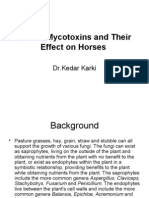 Molds, Mycotoxins and Their Effect On Horses