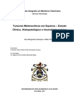 Tumores Melanocíticos em Equinos - Estudo Clínico, Histopatológico e Imunohistoquímico