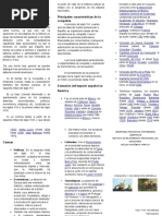 63375246-TRIPTICO.docx
