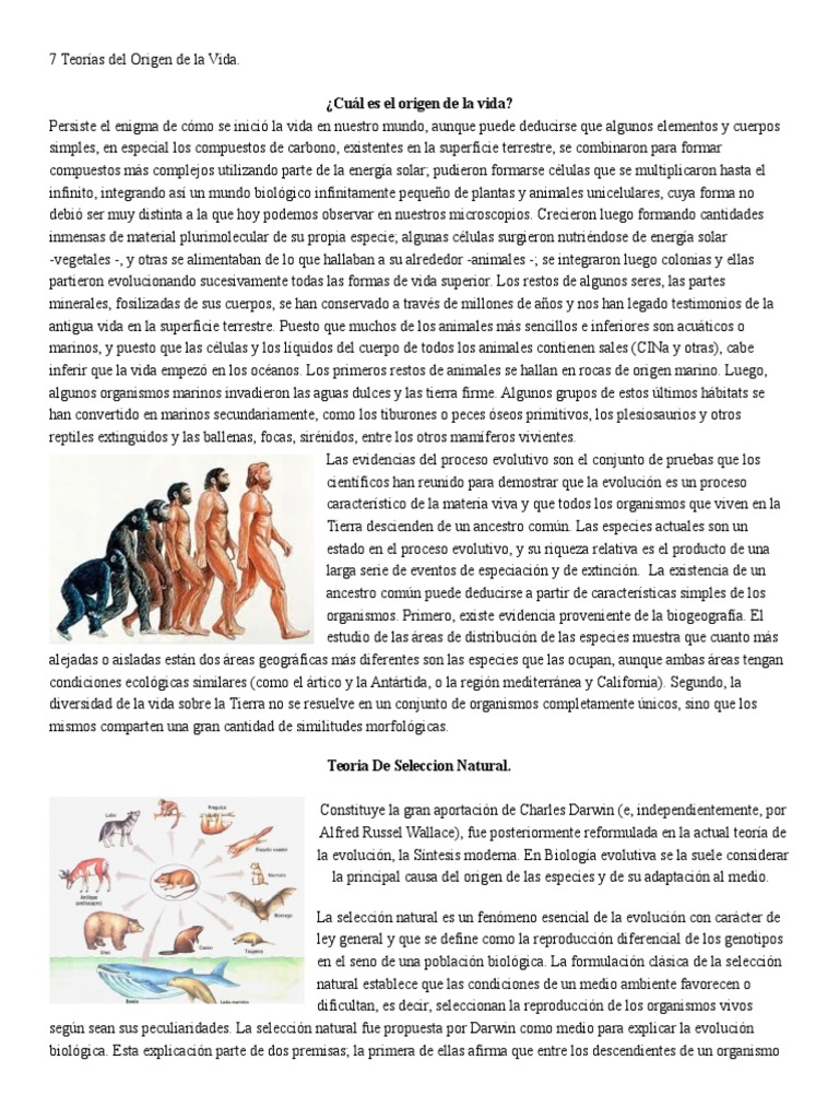 7 Teorías sobre el Origen de la Vida | PDF | Creacionismo | Evolución