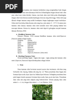 Laporan Emping Jagung