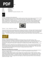 Download Jamur Metarhizium anisopliae by mohtarharijono9965 SN304940290 doc pdf