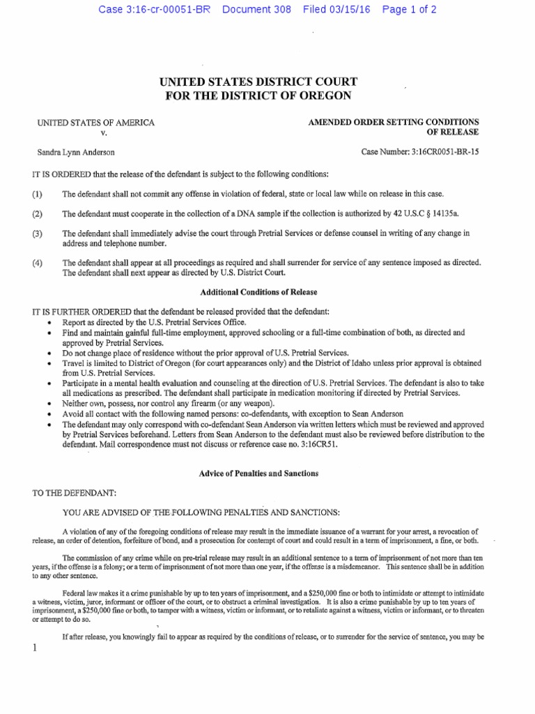 03-15-2016-ecf-308-usa-v-sandra-anderson-amended-order-setting