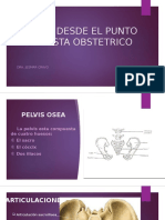 Pelvis Desde El Punto de Vista Obstetrico