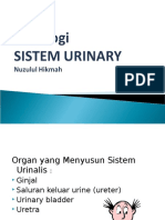 Sistem Urinalis dan Organ-organ Penyusunnya