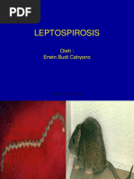 Download LEPTOSPIROSIS 1 by RenggaSuhardijanto SN304978500 doc pdf