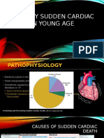 Etiology Sudden Cardiac Death in Young Age