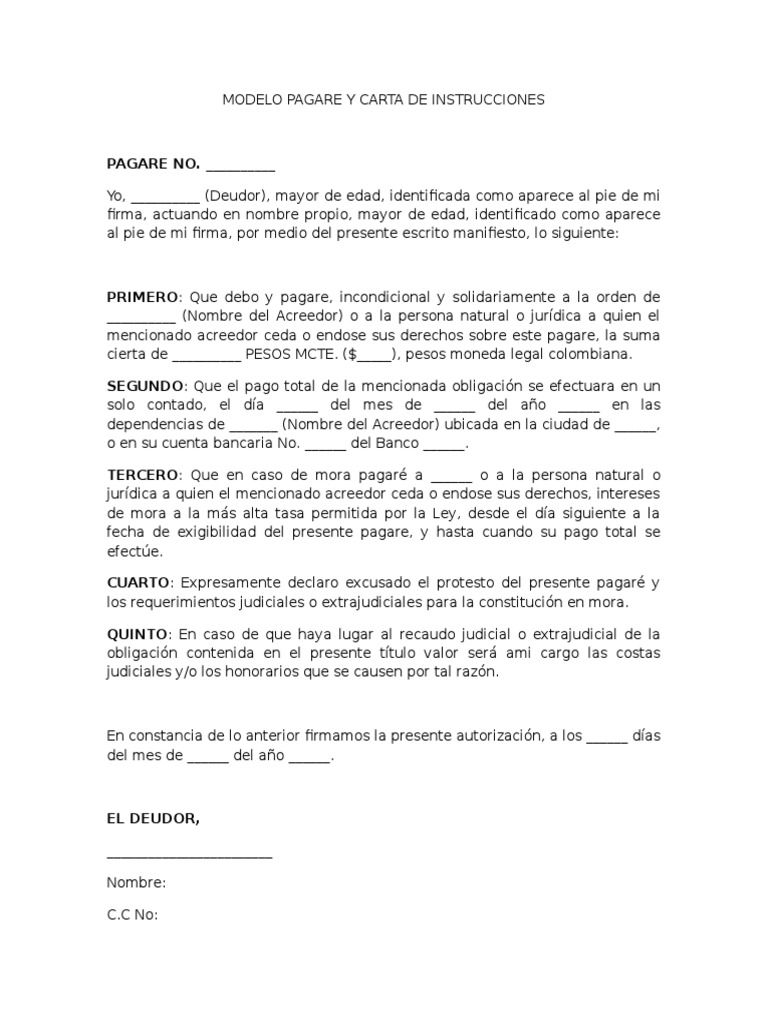 Ejemplo De Un Pagare Modelo Pagaré | PDF | Pagos | Gobierno