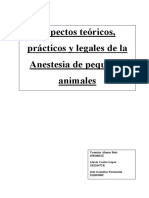 Anestesia en pequeños animales