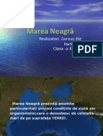 Marea Neagra (Gurzun & Parfenie)