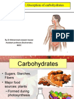 Digestion and Absorption of Carbohydrate Lecture For 1st Yr MBBS by DR Waseem