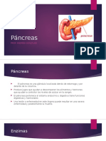 Pancreas Terminado