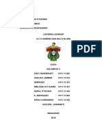 KLT-2D dan Multi Eluen