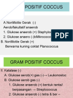 Py Coccus