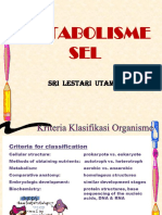 Metabolisme-mhs.pdf