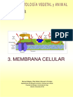 Atlas Celula 03 Membrana Celular PDF
