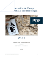 Informe Final de Estratigrafia