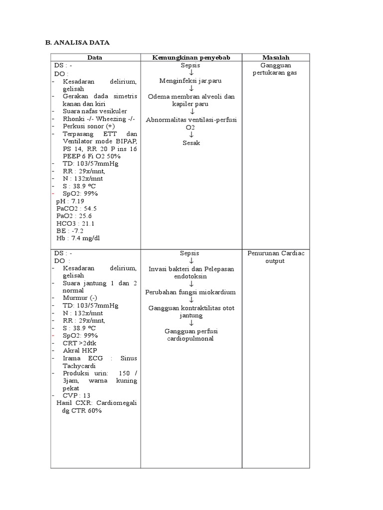Analisa Data New | PDF