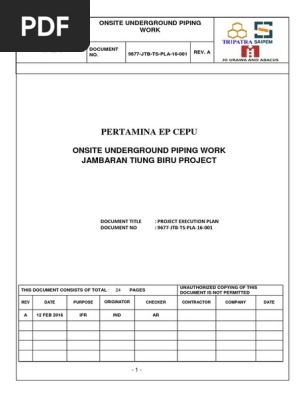 Project Execution Plan