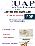 4 Región Axilar PDF