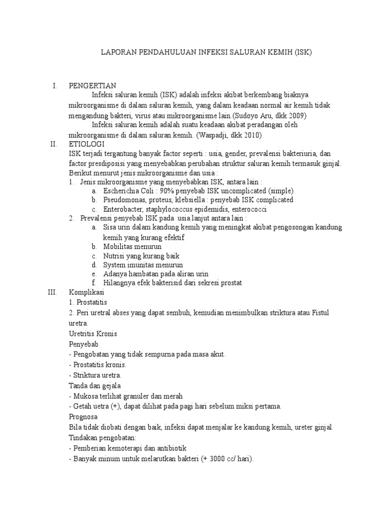 Laporan Pendahuluan Infeksi Saluran Kemih Pdf Seputar
