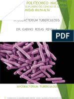 Mycobacterium Tuberculosiss