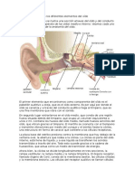 Cuestiones Audicion