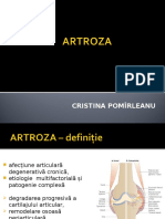 Artroza