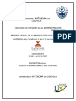 Reporte Practicas Profesionales