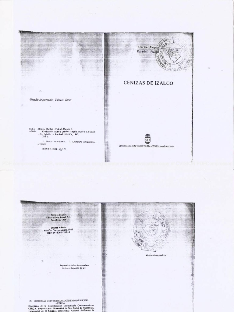 Lower extremity venous doppler report