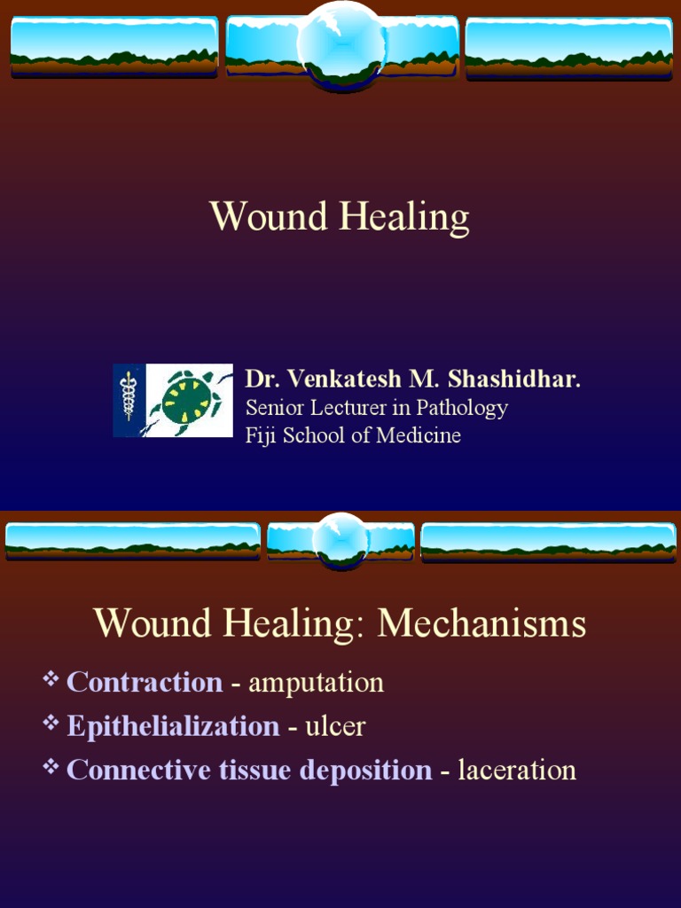Wound Healing Mechanisms and Stages | PDF