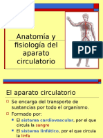 aparato_circulatorio