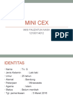 Mini Cex STT